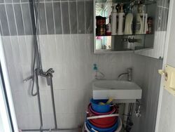 Blk 317 Serangoon Avenue 2 (Serangoon), HDB Executive #572086991